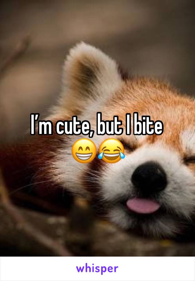 I’m cute, but I bite
😁😂