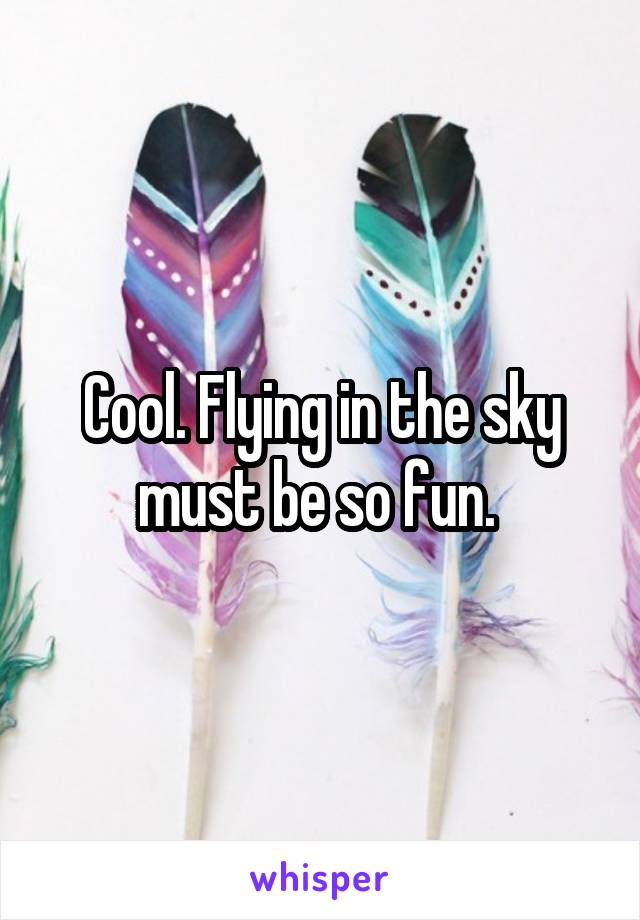 Cool. Flying in the sky must be so fun. 