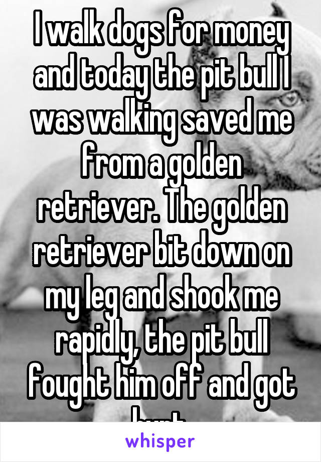 I walk dogs for money and today the pit bull I was walking saved me from a golden retriever. The golden retriever bit down on my leg and shook me rapidly, the pit bull fought him off and got hurt.