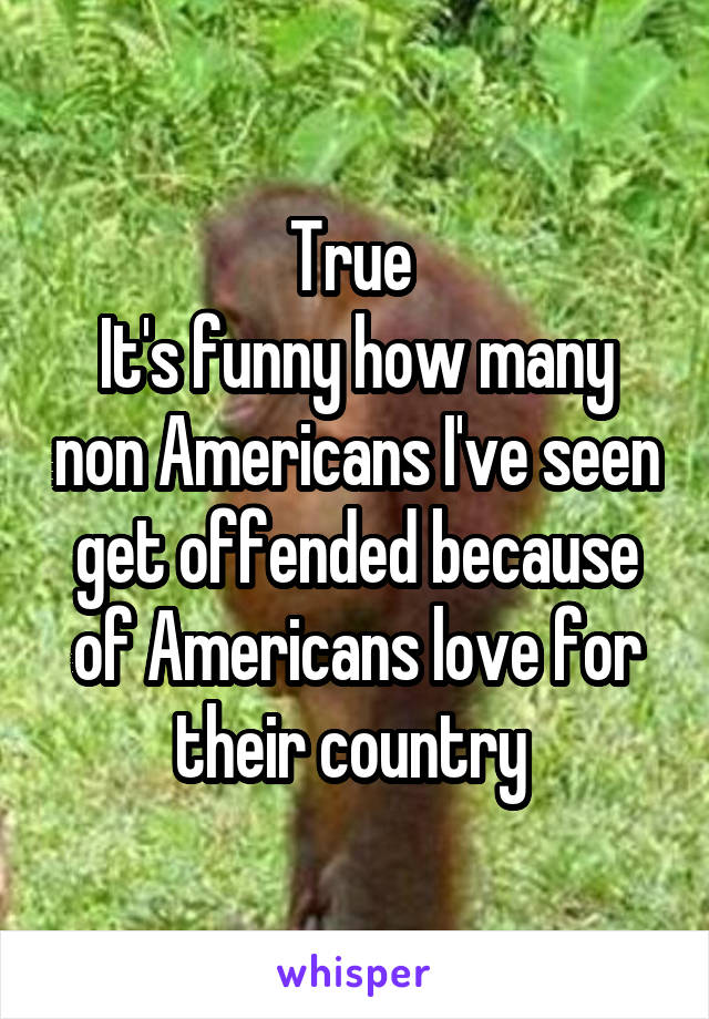 True 
It's funny how many non Americans I've seen get offended because of Americans love for their country 