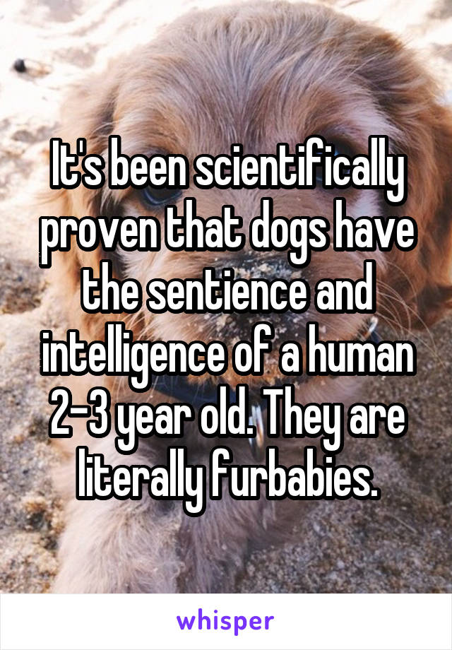 It's been scientifically proven that dogs have the sentience and intelligence of a human 2-3 year old. They are literally furbabies.