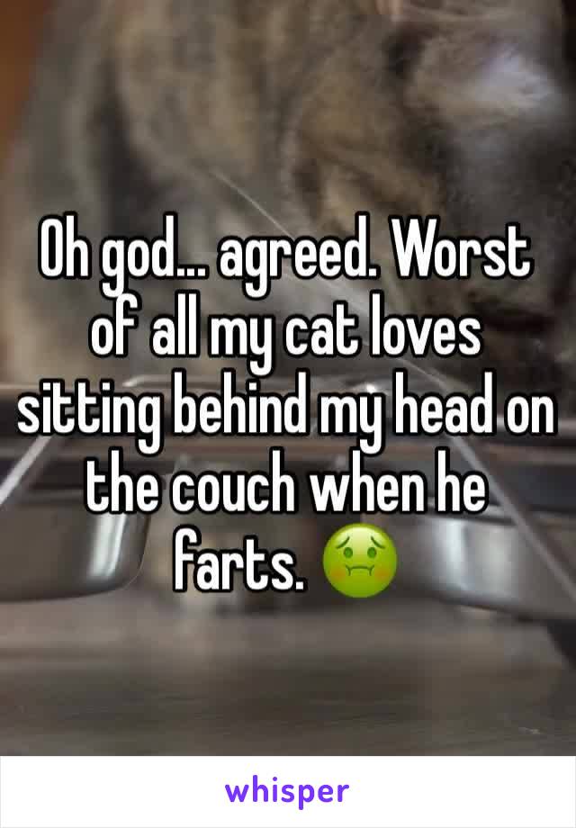 Oh god... agreed. Worst of all my cat loves sitting behind my head on the couch when he farts. 🤢 