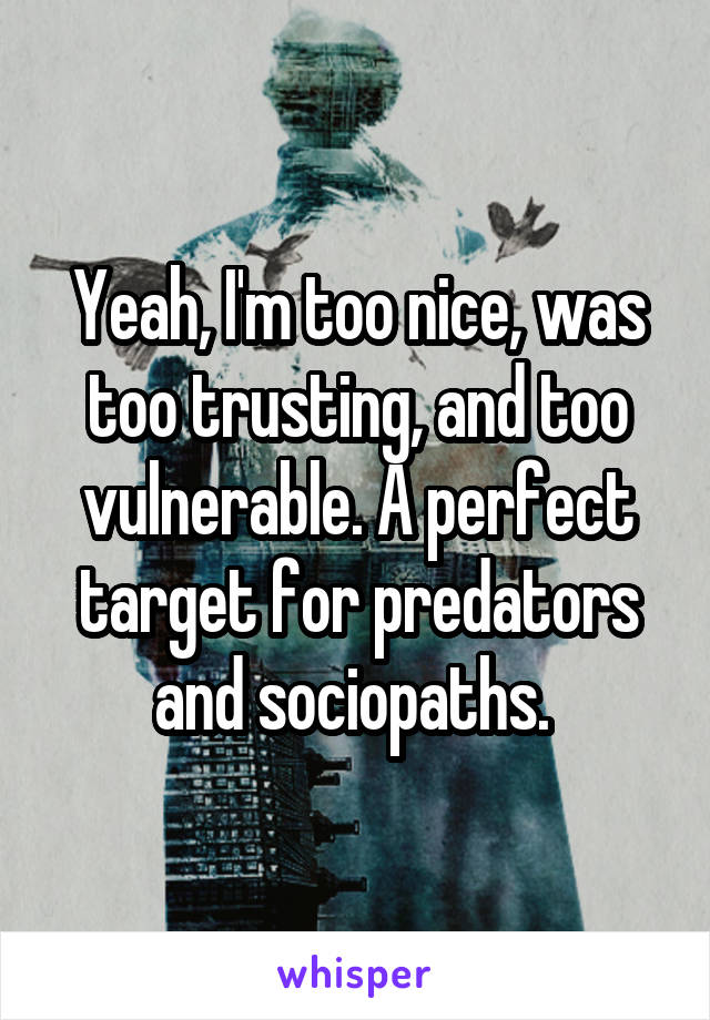 Yeah, I'm too nice, was too trusting, and too vulnerable. A perfect target for predators and sociopaths. 