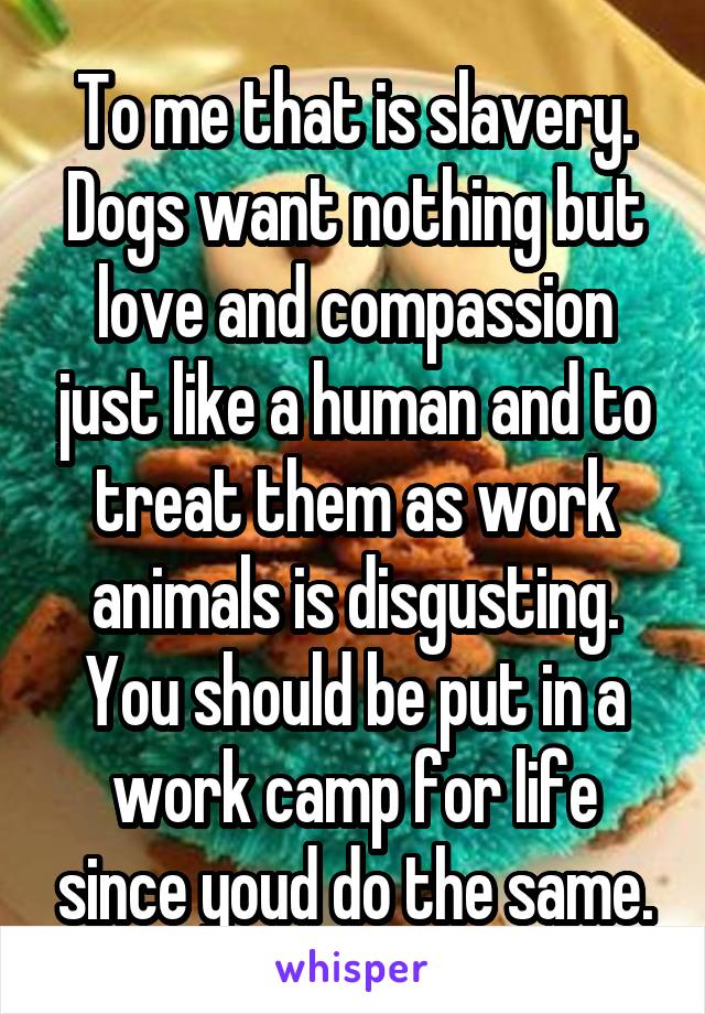 To me that is slavery. Dogs want nothing but love and compassion just like a human and to treat them as work animals is disgusting. You should be put in a work camp for life since youd do the same.