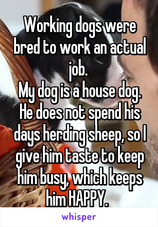 Working dogs were bred to work an actual job. 
My dog is a house dog. He does not spend his days herding sheep, so I give him taste to keep him busy, which keeps him HAPPY.  
