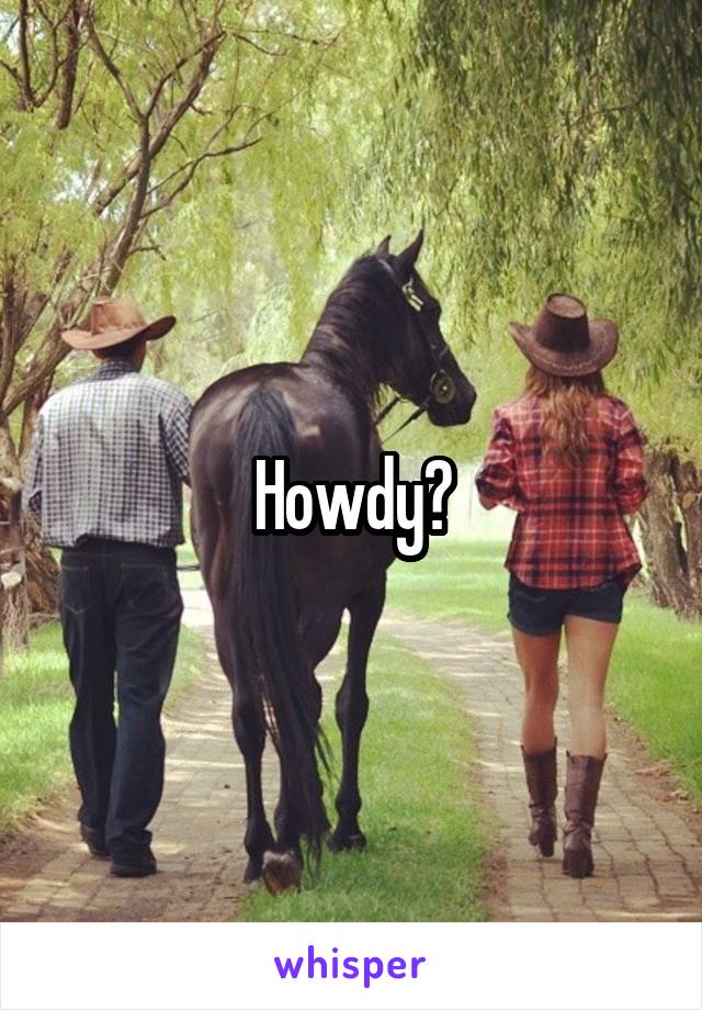Howdy?