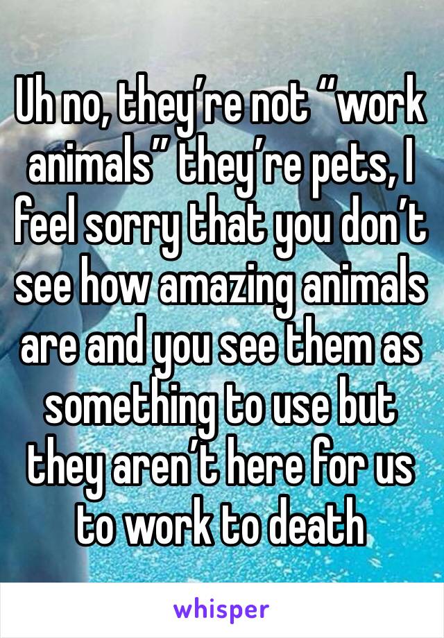 Uh no, they’re not “work animals” they’re pets, I feel sorry that you don’t see how amazing animals are and you see them as something to use but they aren’t here for us to work to death