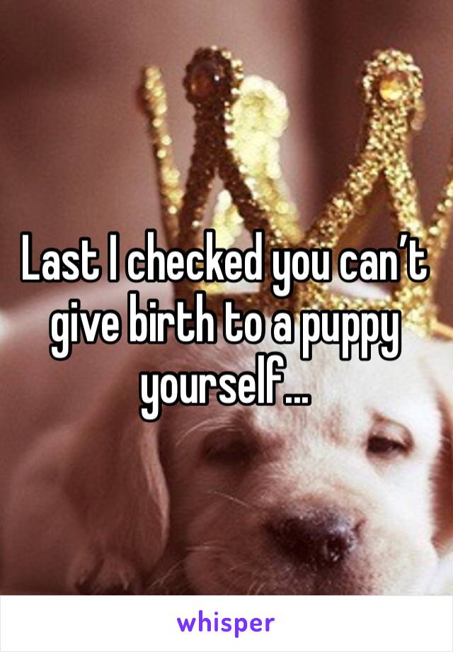 Last I checked you can’t give birth to a puppy yourself... 