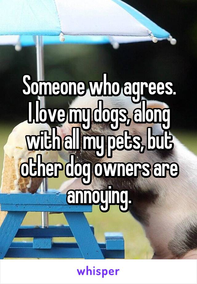 Someone who agrees.
I love my dogs, along with all my pets, but other dog owners are annoying.