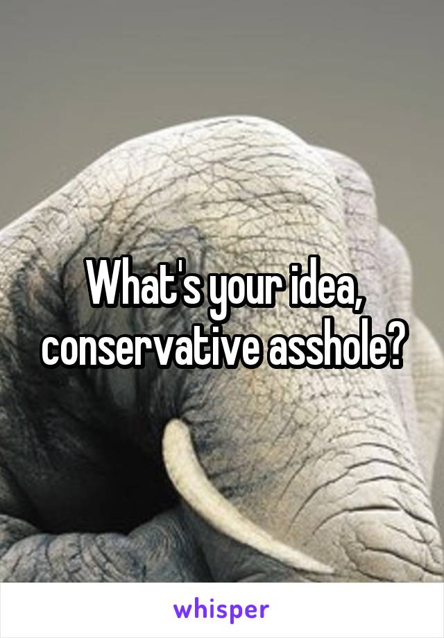 What's your idea, conservative asshole?