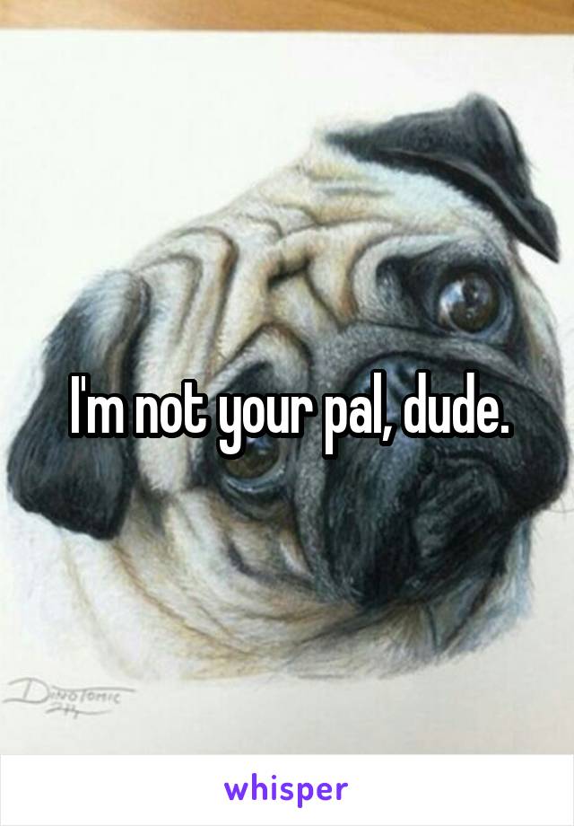 I'm not your pal, dude.