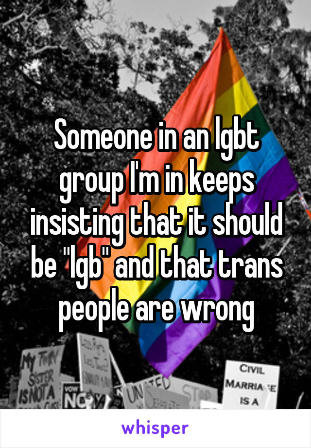 Someone in an lgbt group I'm in keeps insisting that it should be "lgb" and that trans people are wrong