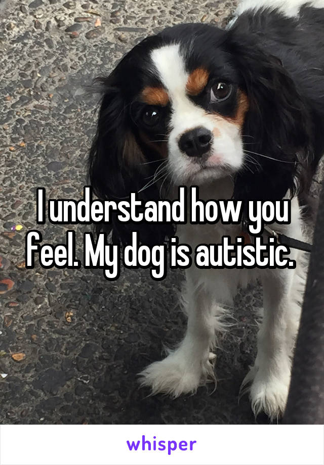 I understand how you feel. My dog is autistic. 
