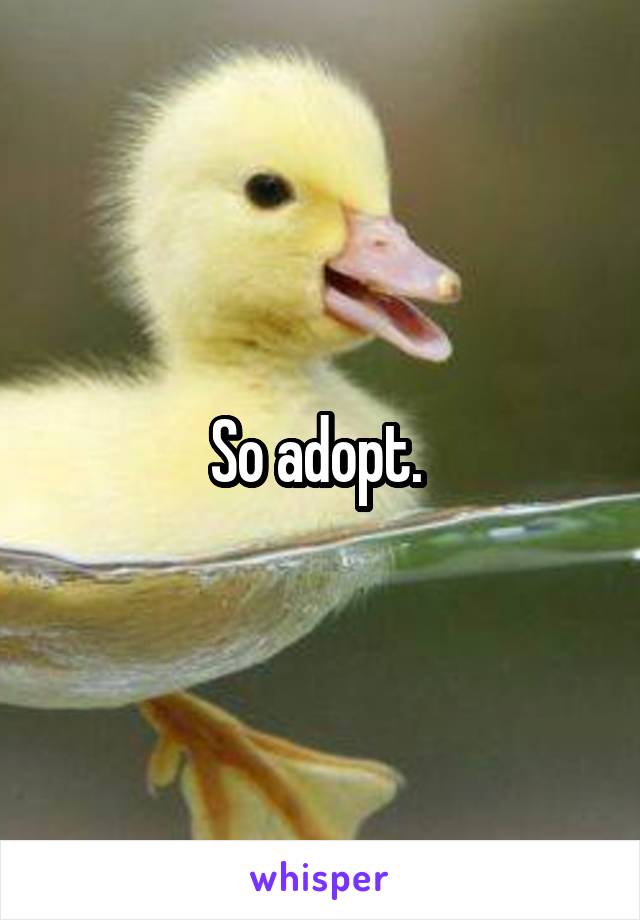So adopt. 