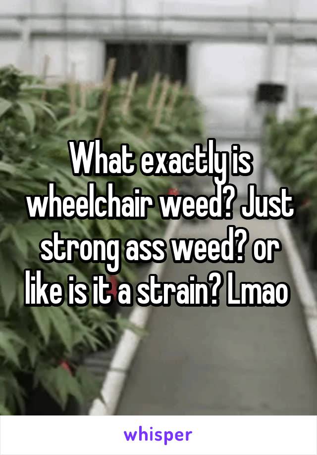 What exactly is wheelchair weed? Just strong ass weed? or like is it a strain? Lmao 