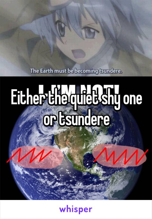 Either the quiet shy one or tsundere