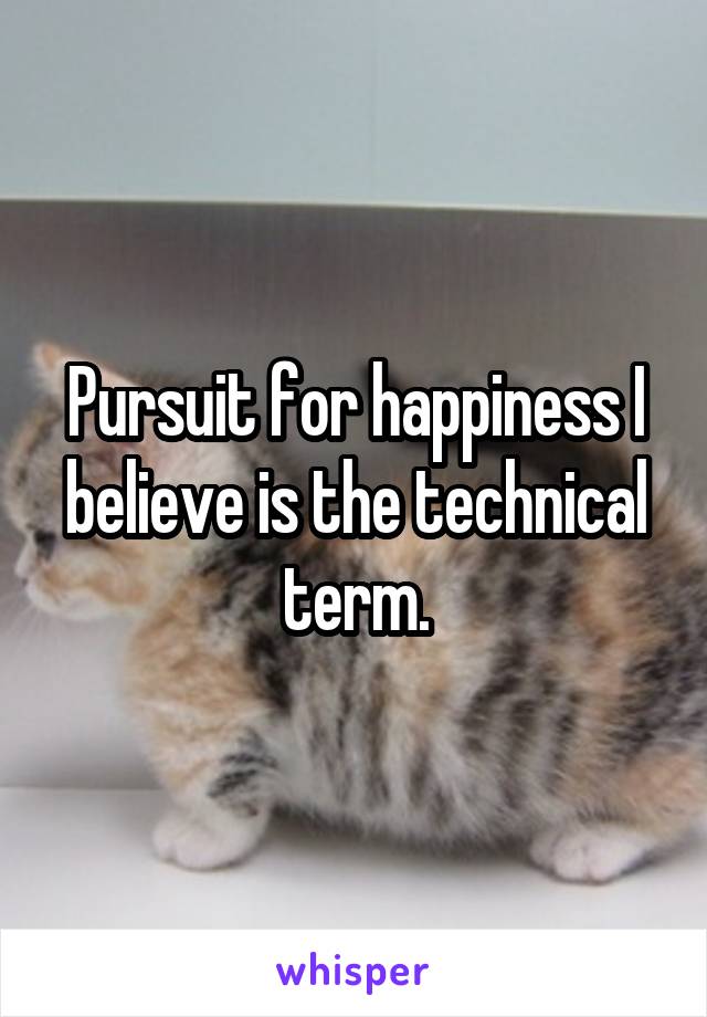 Pursuit for happiness I believe is the technical term.