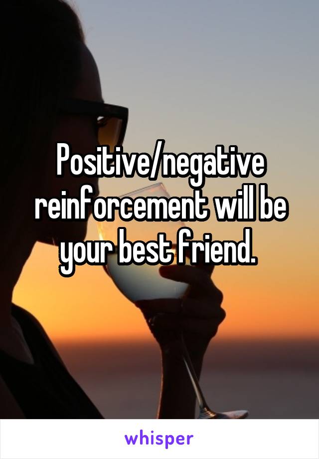 Positive/negative reinforcement will be your best friend. 
