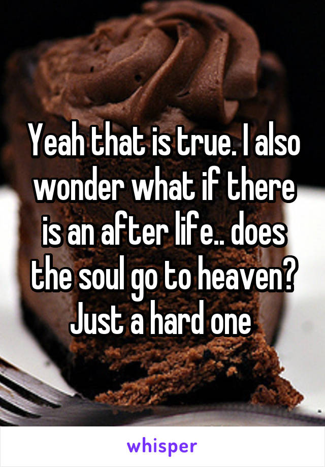 Yeah that is true. I also wonder what if there is an after life.. does the soul go to heaven? Just a hard one 