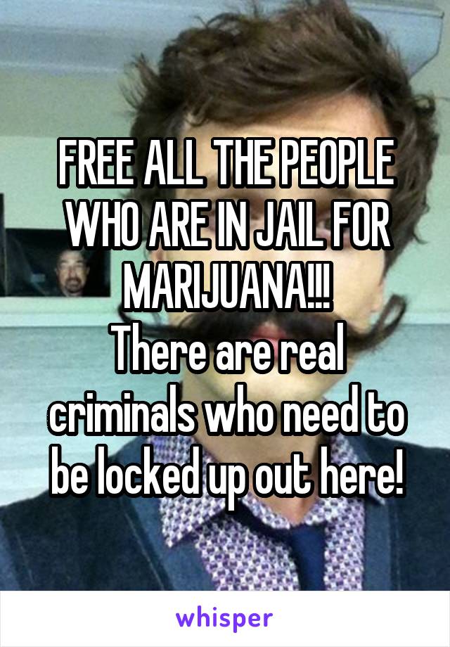 FREE ALL THE PEOPLE WHO ARE IN JAIL FOR MARIJUANA!!!
There are real criminals who need to be locked up out here!