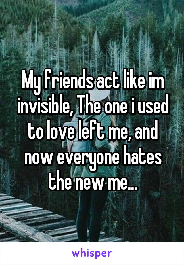My friends act like im invisible, The one i used to love left me, and now everyone hates the new me...