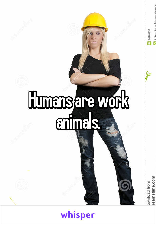 Humans are work animals.