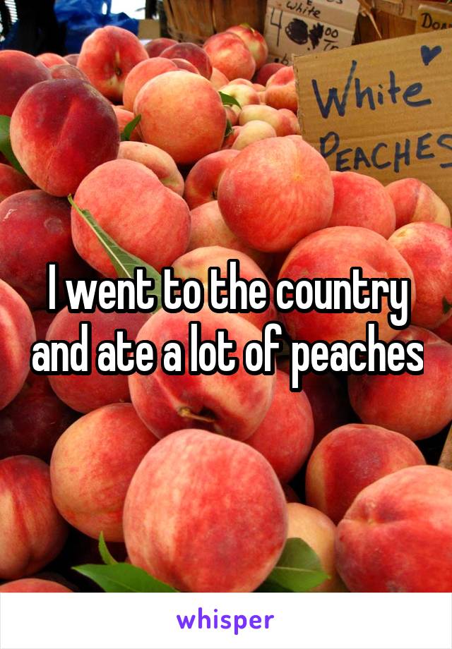 I went to the country and ate a lot of peaches