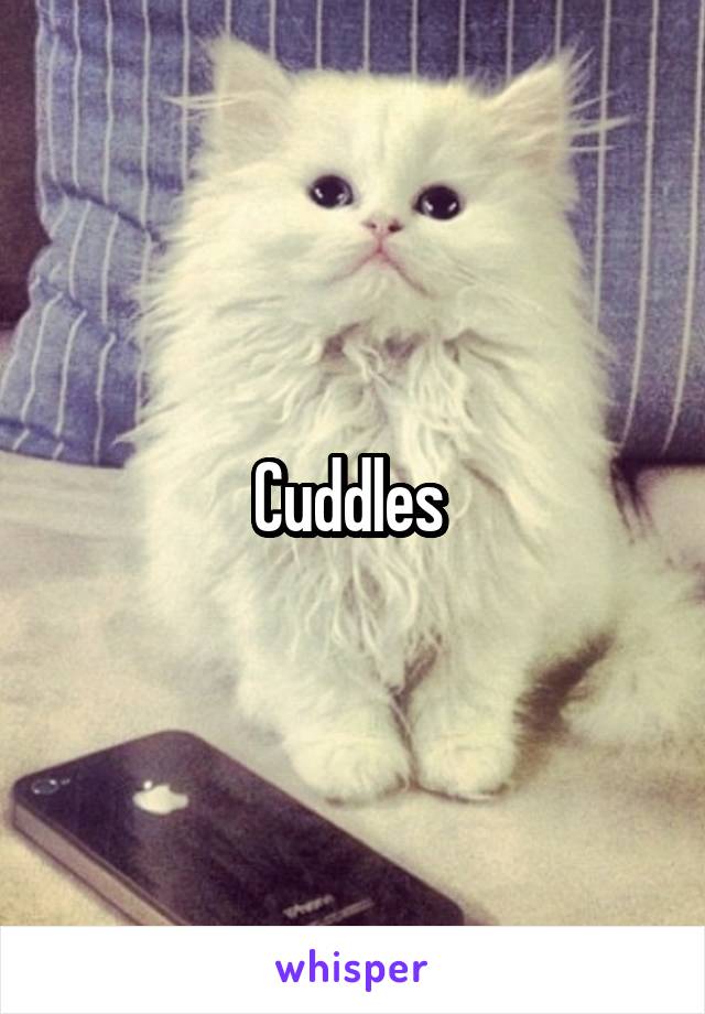 Cuddles 