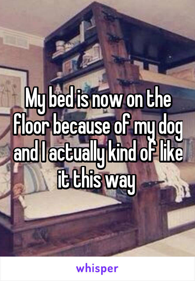 My bed is now on the floor because of my dog and I actually kind of like it this way 