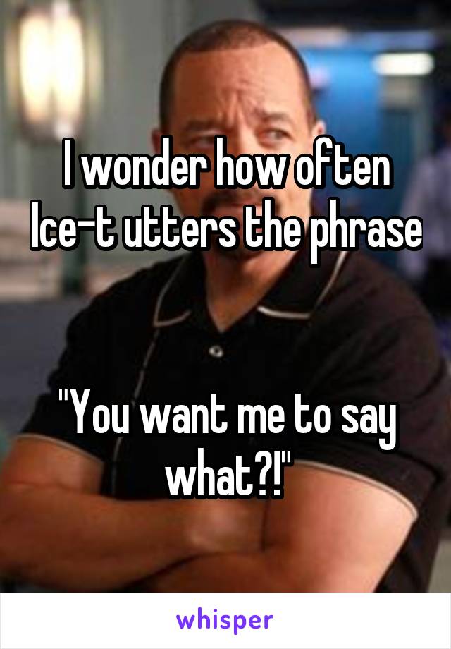 I wonder how often Ice-t utters the phrase 

"You want me to say what?!"