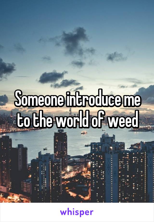 Someone introduce me to the world of weed