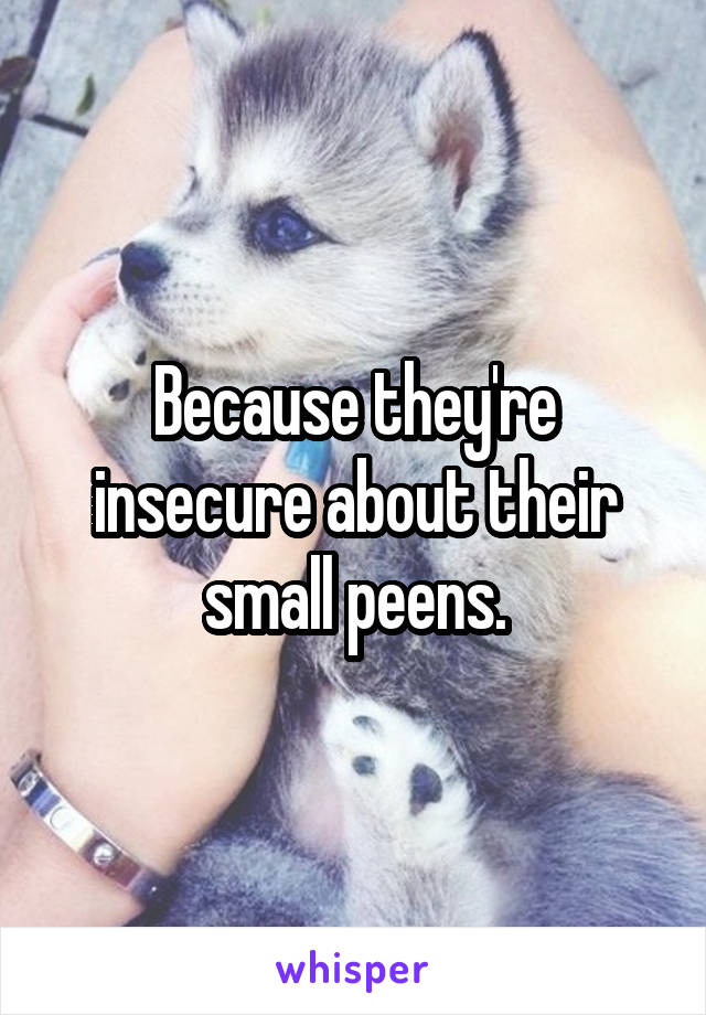 Because they're insecure about their small peens.