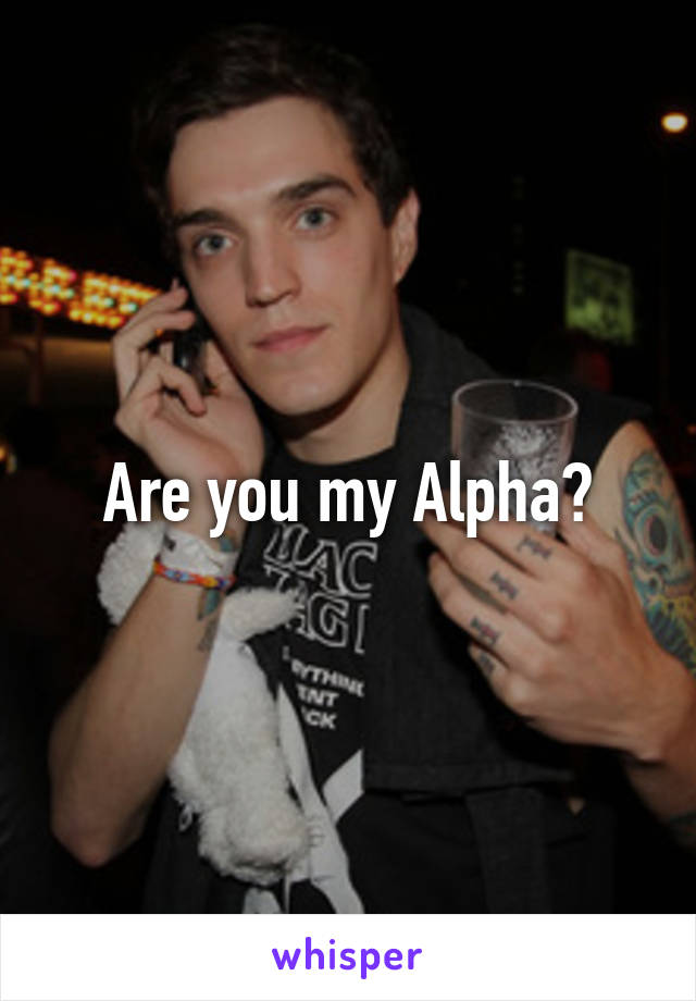 Are you my Alpha?