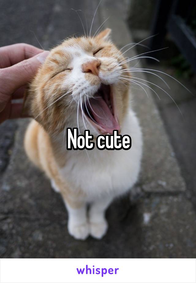 Not cute