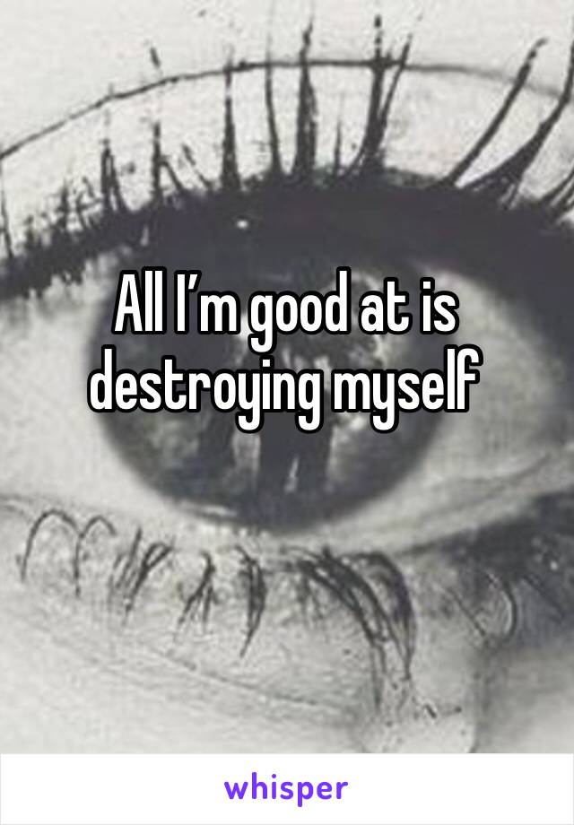All I’m good at is destroying myself 