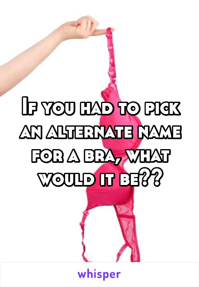 If you had to pick an alternate name for a bra, what would it be??