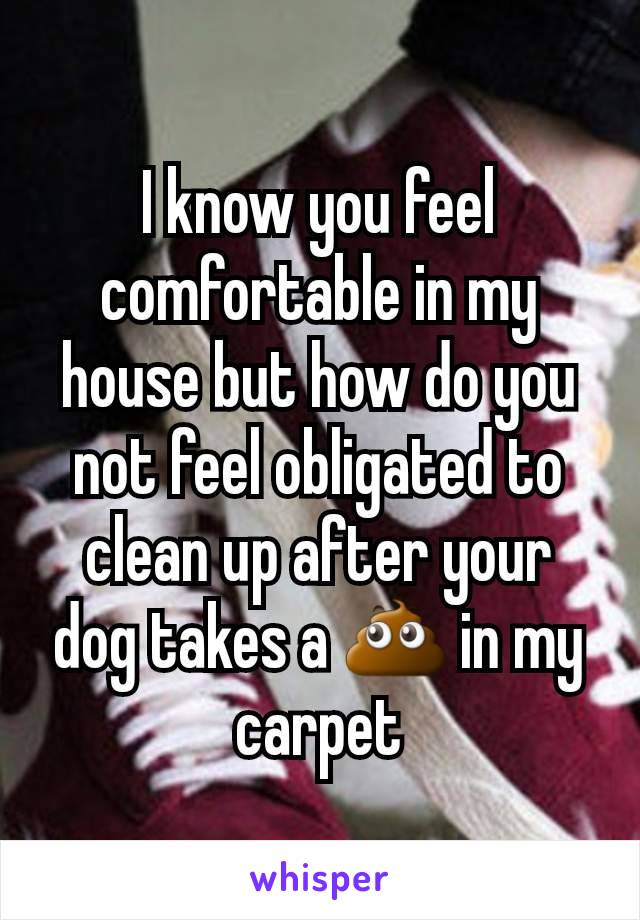 I know you feel comfortable in my house but how do you not feel obligated to clean up after your dog takes a 💩 in my carpet