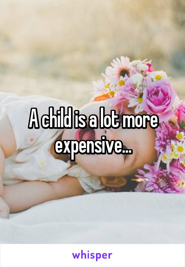 A child is a lot more expensive...