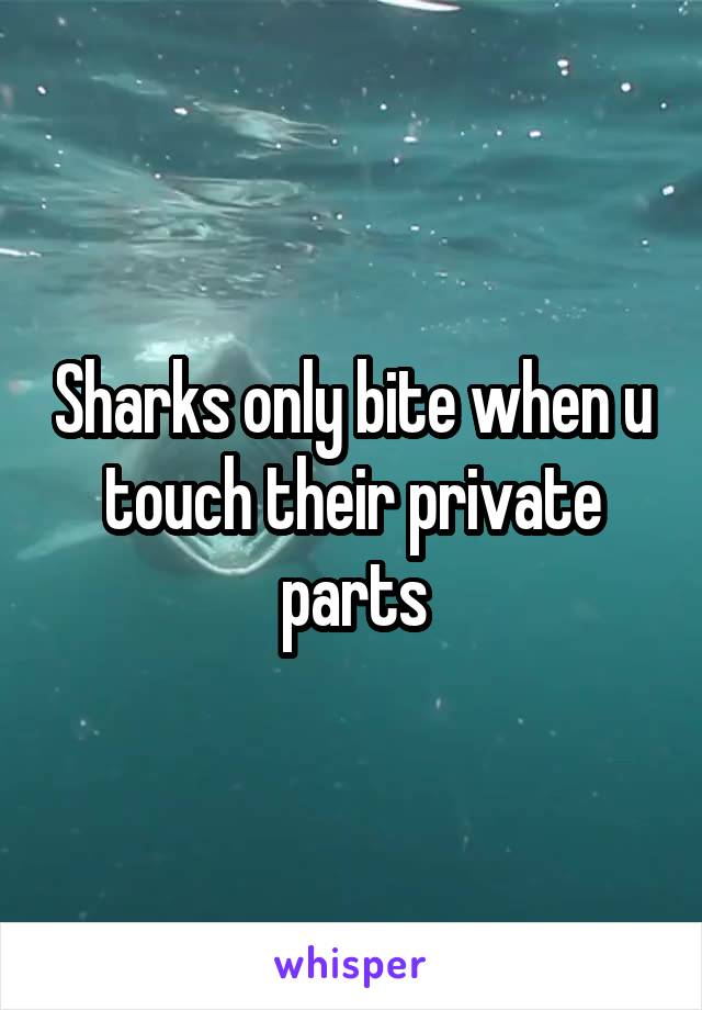 Sharks only bite when u touch their private parts