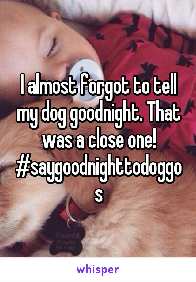 I almost forgot to tell my dog goodnight. That was a close one! #saygoodnighttodoggos
