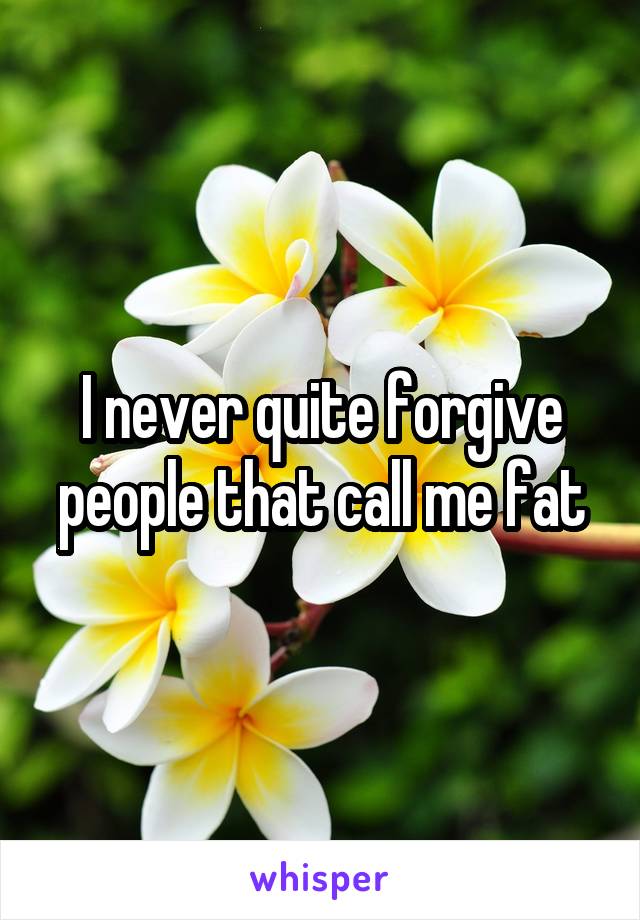 I never quite forgive people that call me fat