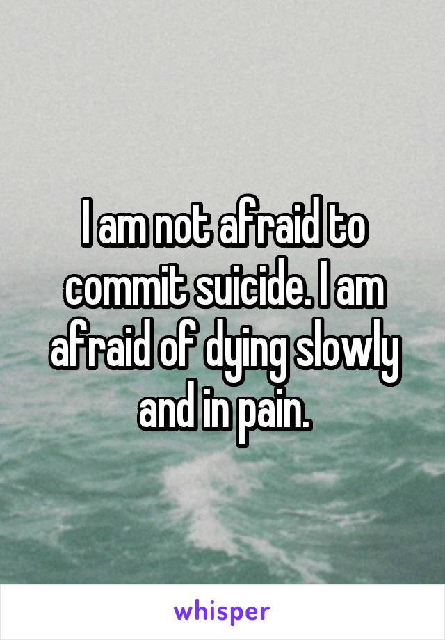 I am not afraid to commit suicide. I am afraid of dying slowly and in pain.