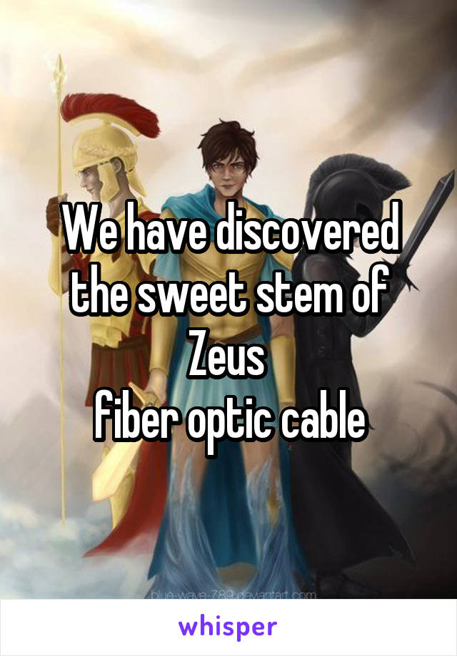 We have discovered the sweet stem of Zeus 
fiber optic cable