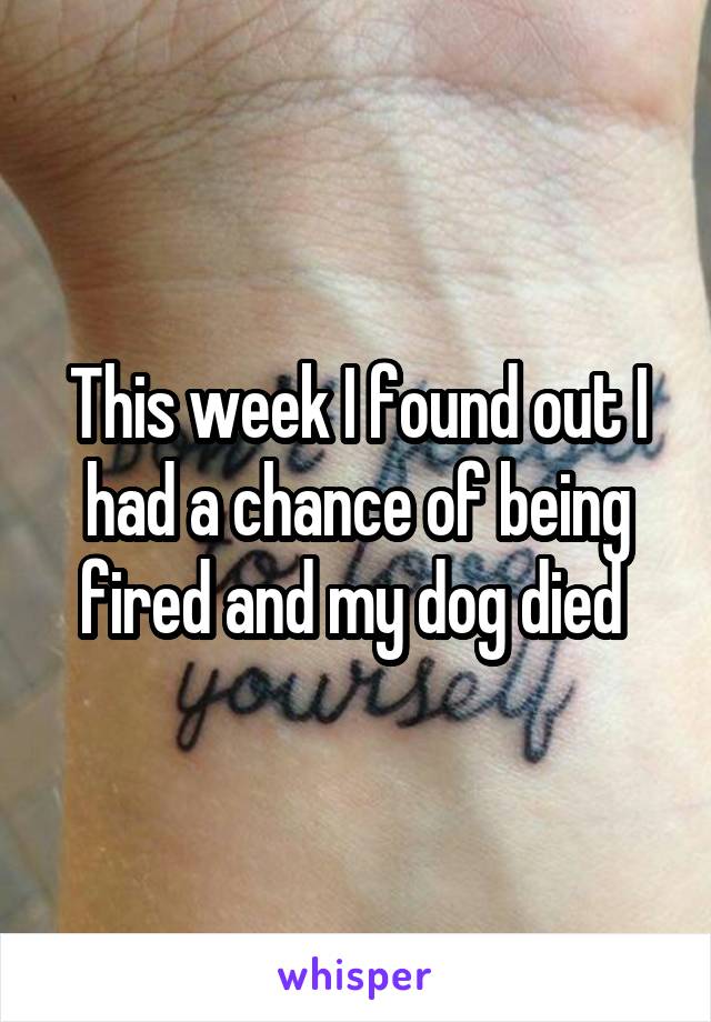 This week I found out I had a chance of being fired and my dog died 