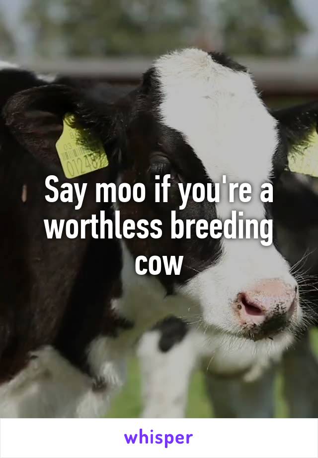 Say moo if you're a worthless breeding cow