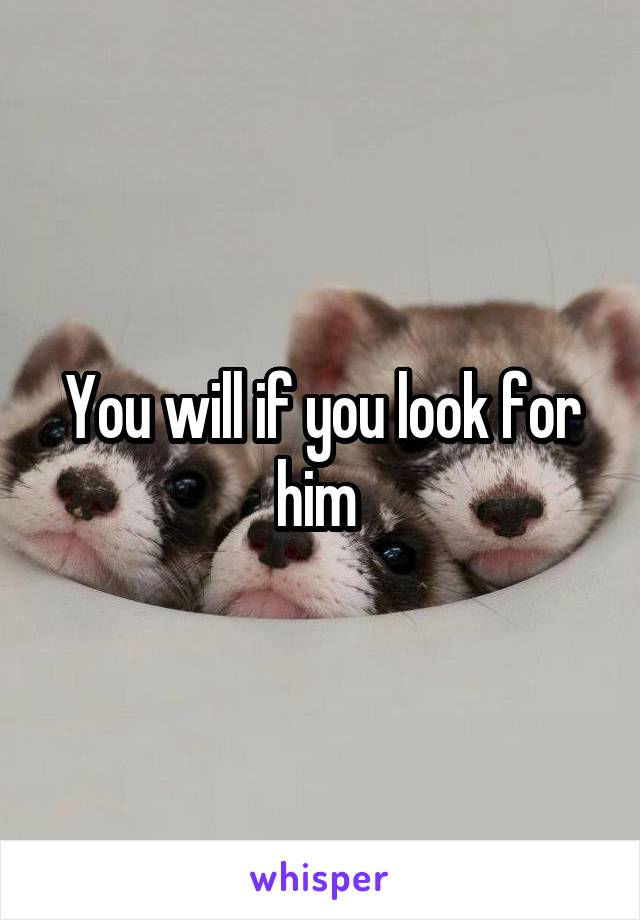 You will if you look for him 