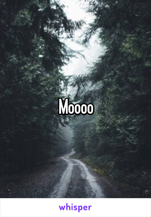 Moooo