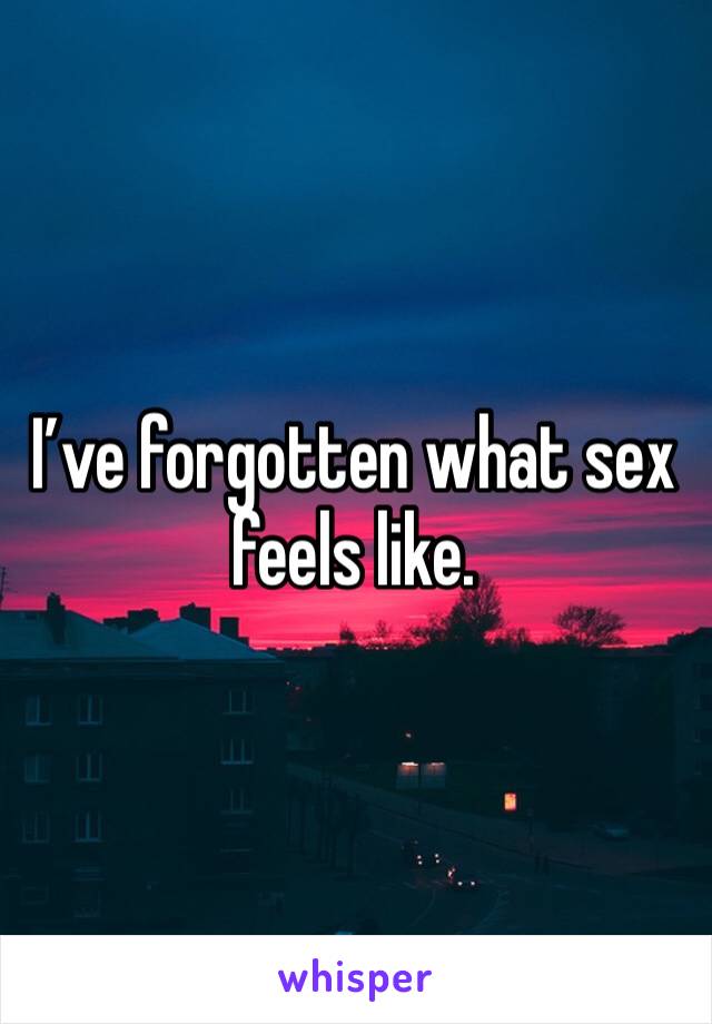I’ve forgotten what sex feels like. 
