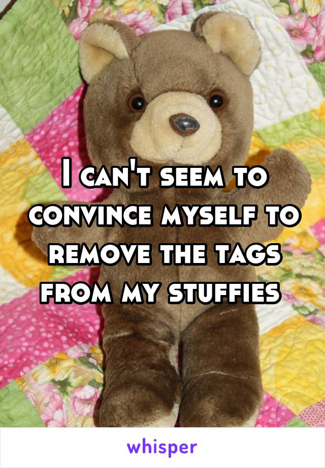 I can't seem to convince myself to remove the tags from my stuffies 