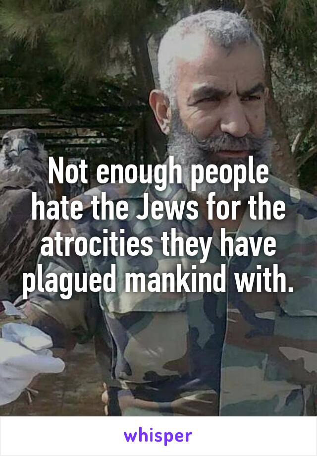 Not enough people hate the Jews for the atrocities they have plagued mankind with.